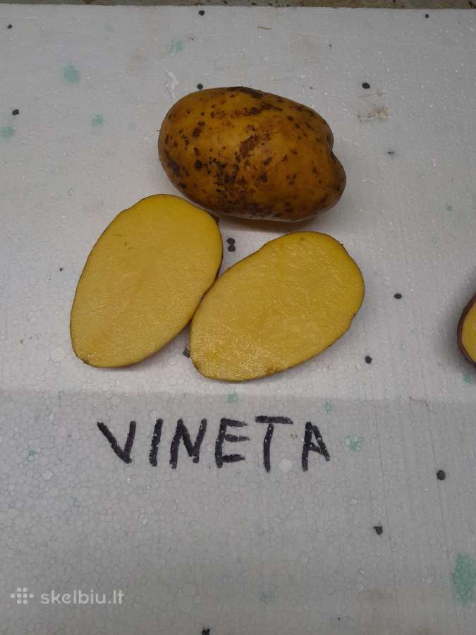 P - nuotraukos Nr. 4