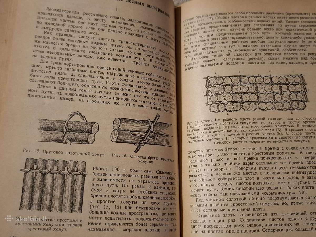 Mediena - nuotraukos Nr. 15