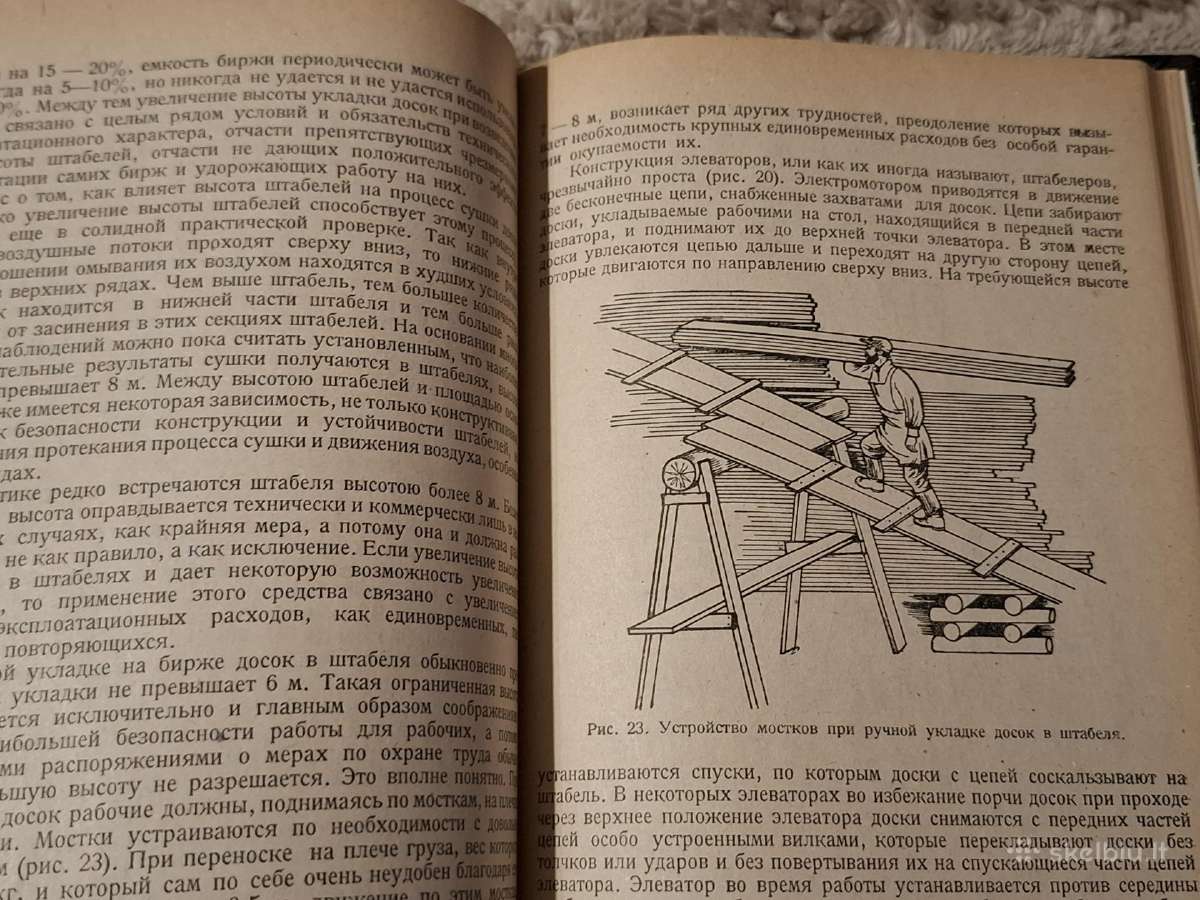 Mediena - nuotraukos Nr. 24