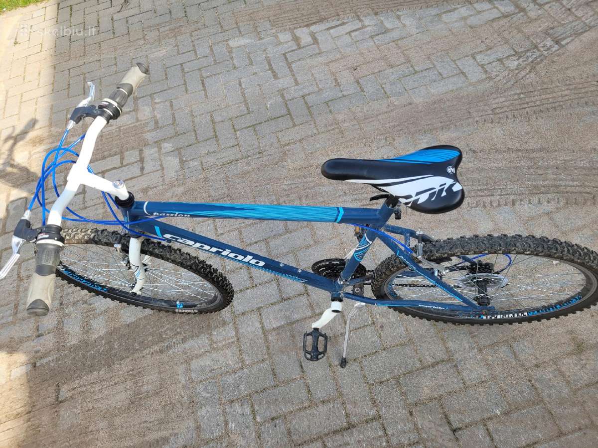 26" dviratis Capriolo - nuotraukos Nr. 2