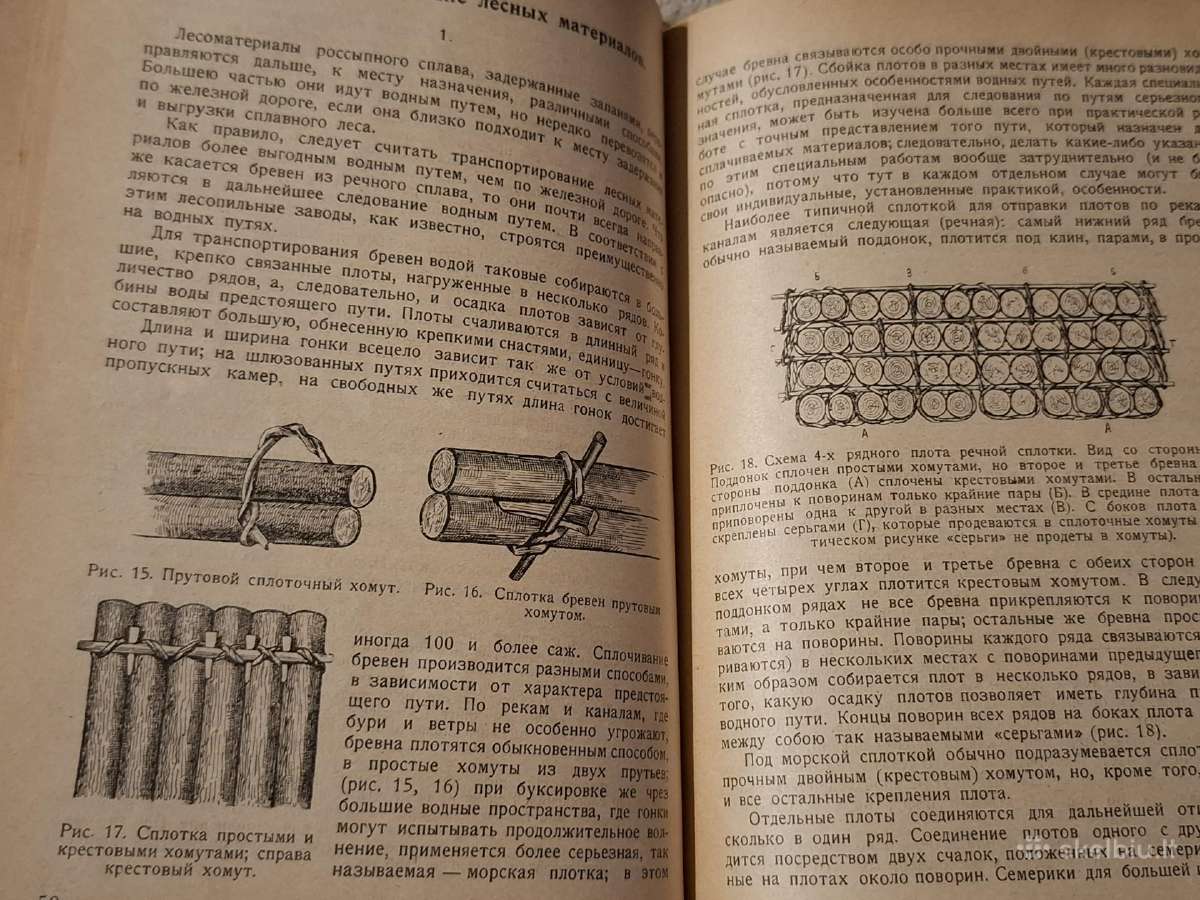 Mediena - nuotraukos Nr. 15