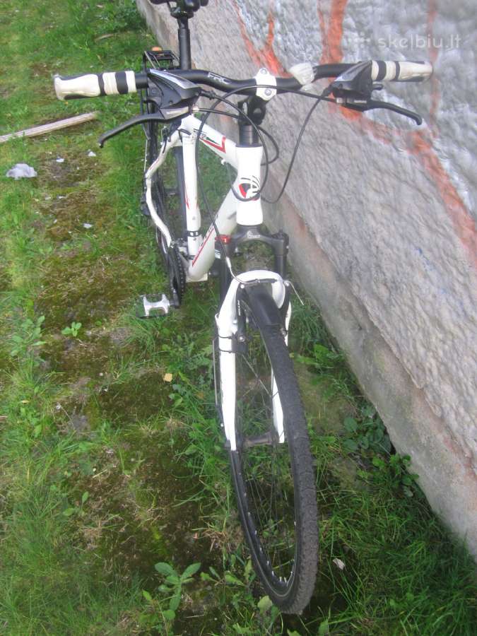Ferrini Faster dviratis - nuotraukos Nr. 3
