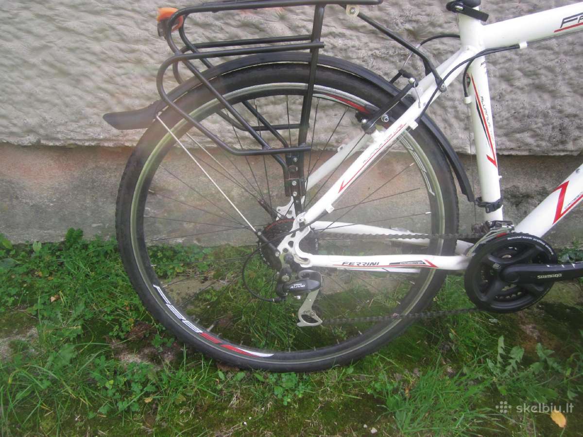 Ferrini Faster dviratis - nuotraukos Nr. 5