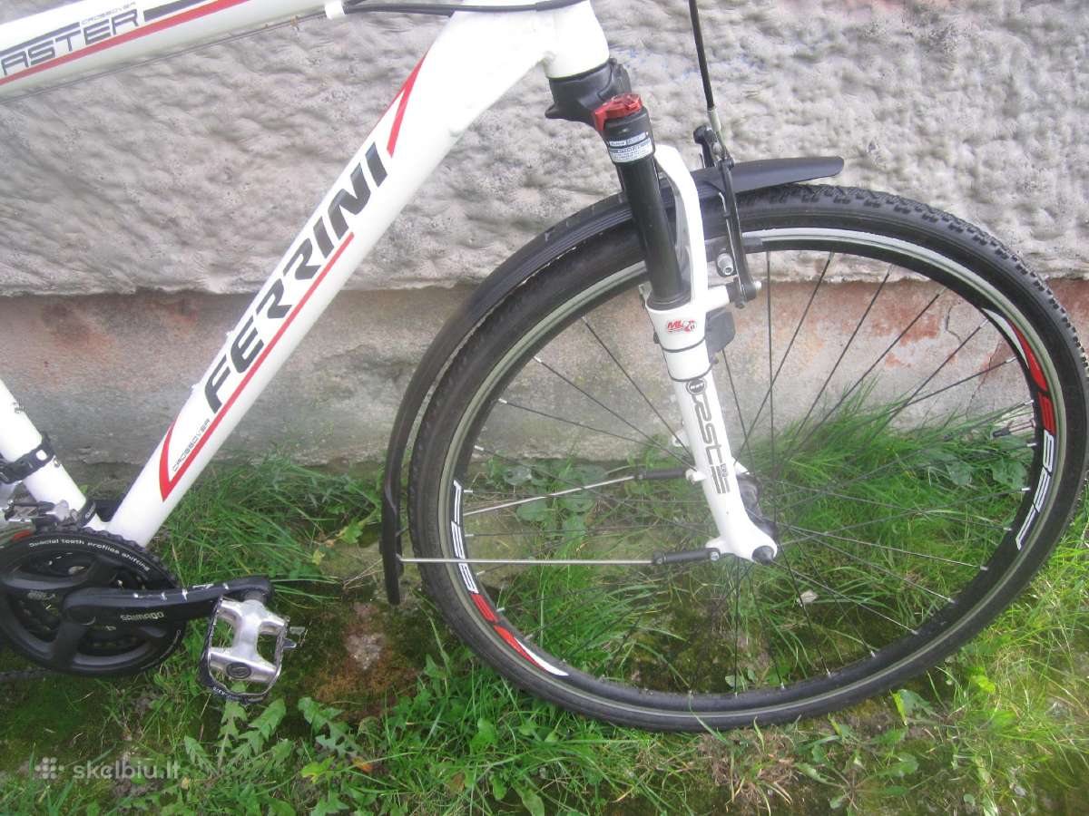 Ferrini Faster dviratis - nuotraukos Nr. 6
