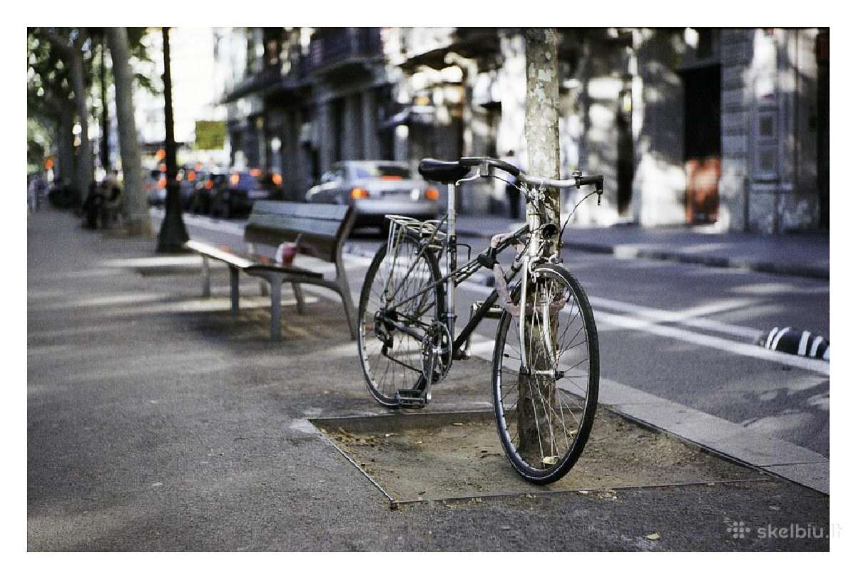 Jupiter 3, 50mm f1.5 (Ltm) - nuotraukos Nr. 7