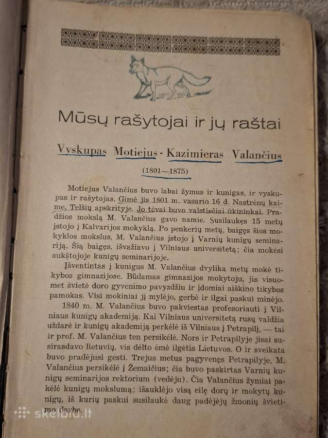 Sakalėlis - nuotraukos Nr. 5