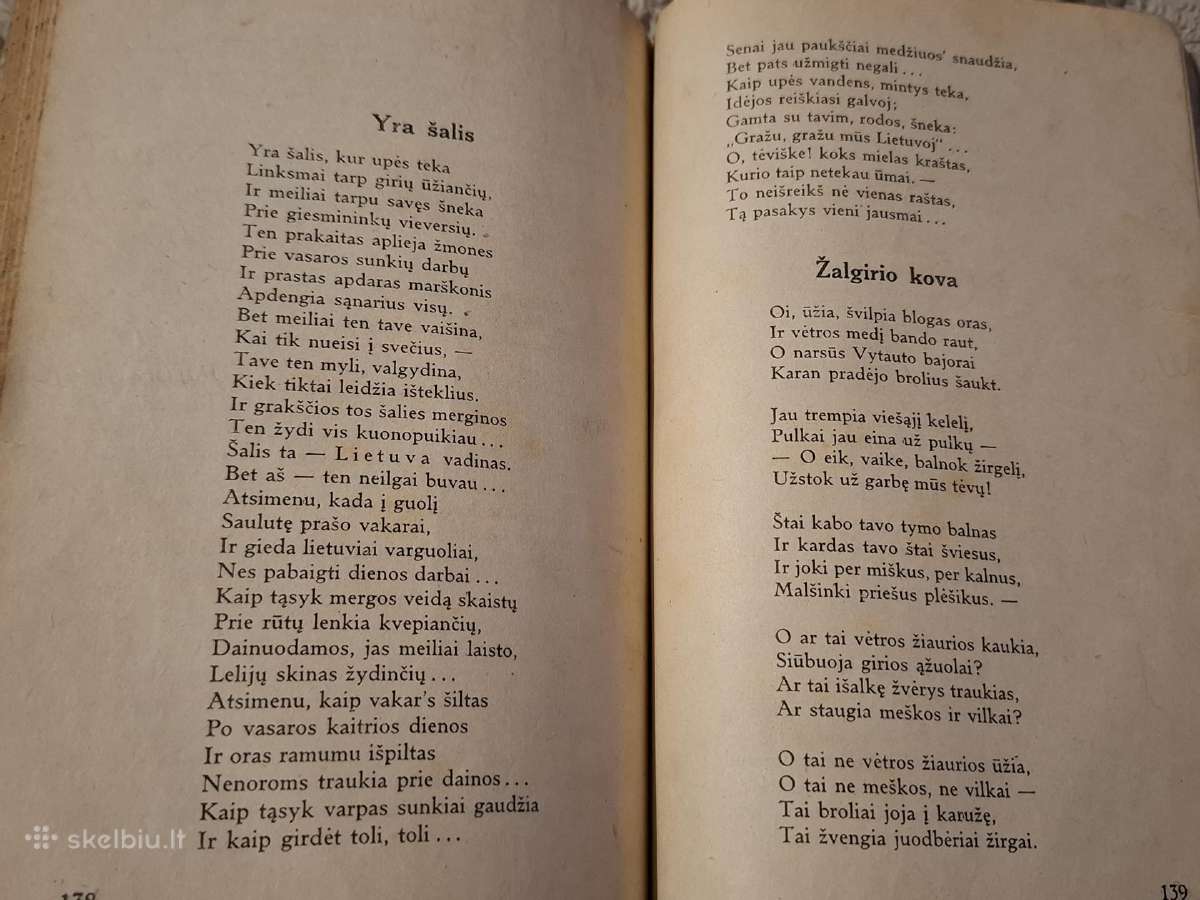 Sakalėlis - nuotraukos Nr. 16