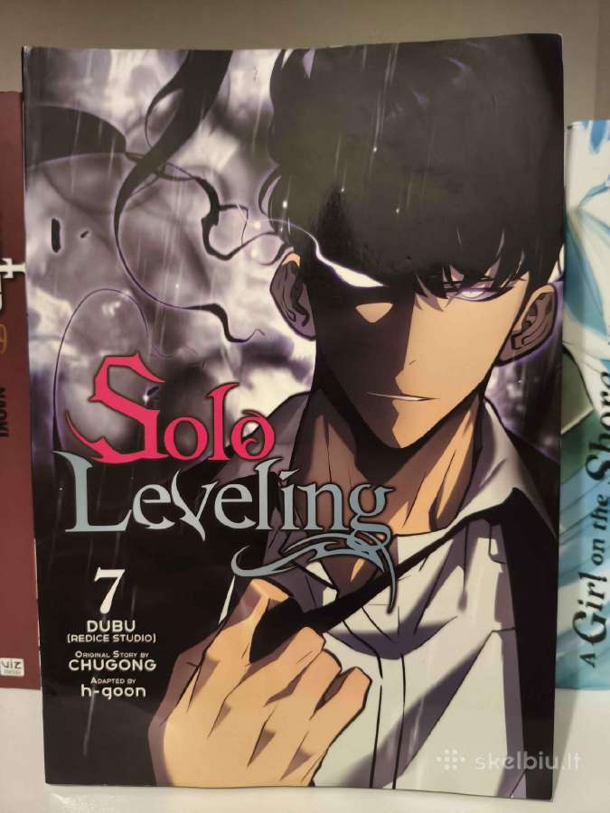 Solo Leveling Manhwa/manga - nuotraukos Nr. 2