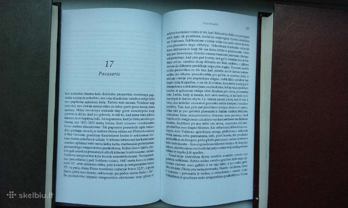 Thoreau. Voldenas, arba gyvenimas miške - nuotraukos Nr. 11