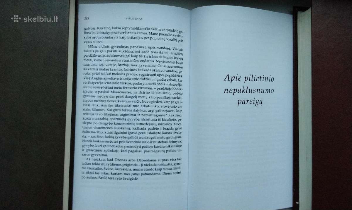 Thoreau. Voldenas, arba gyvenimas miške - nuotraukos Nr. 12