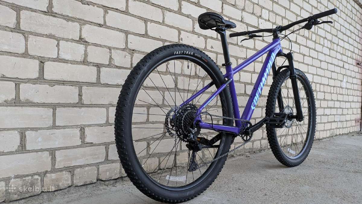 Specialized Rockhopper 29er - nuotraukos Nr. 2