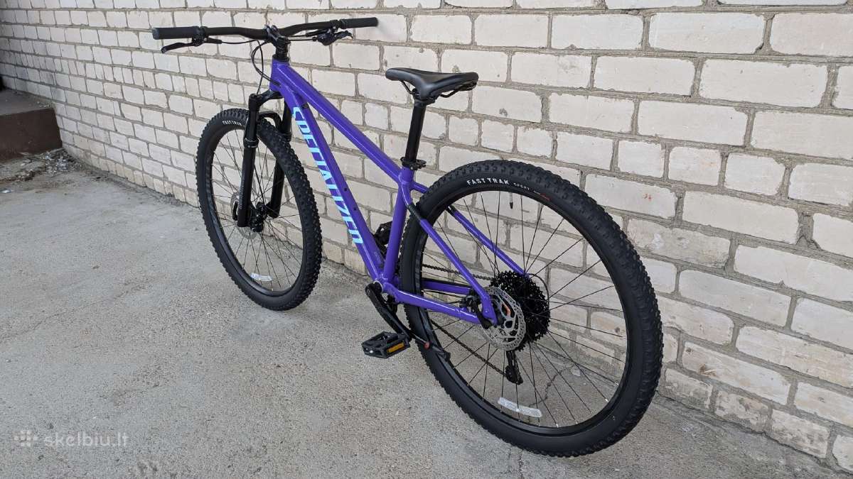Specialized Rockhopper 29er - nuotraukos Nr. 32