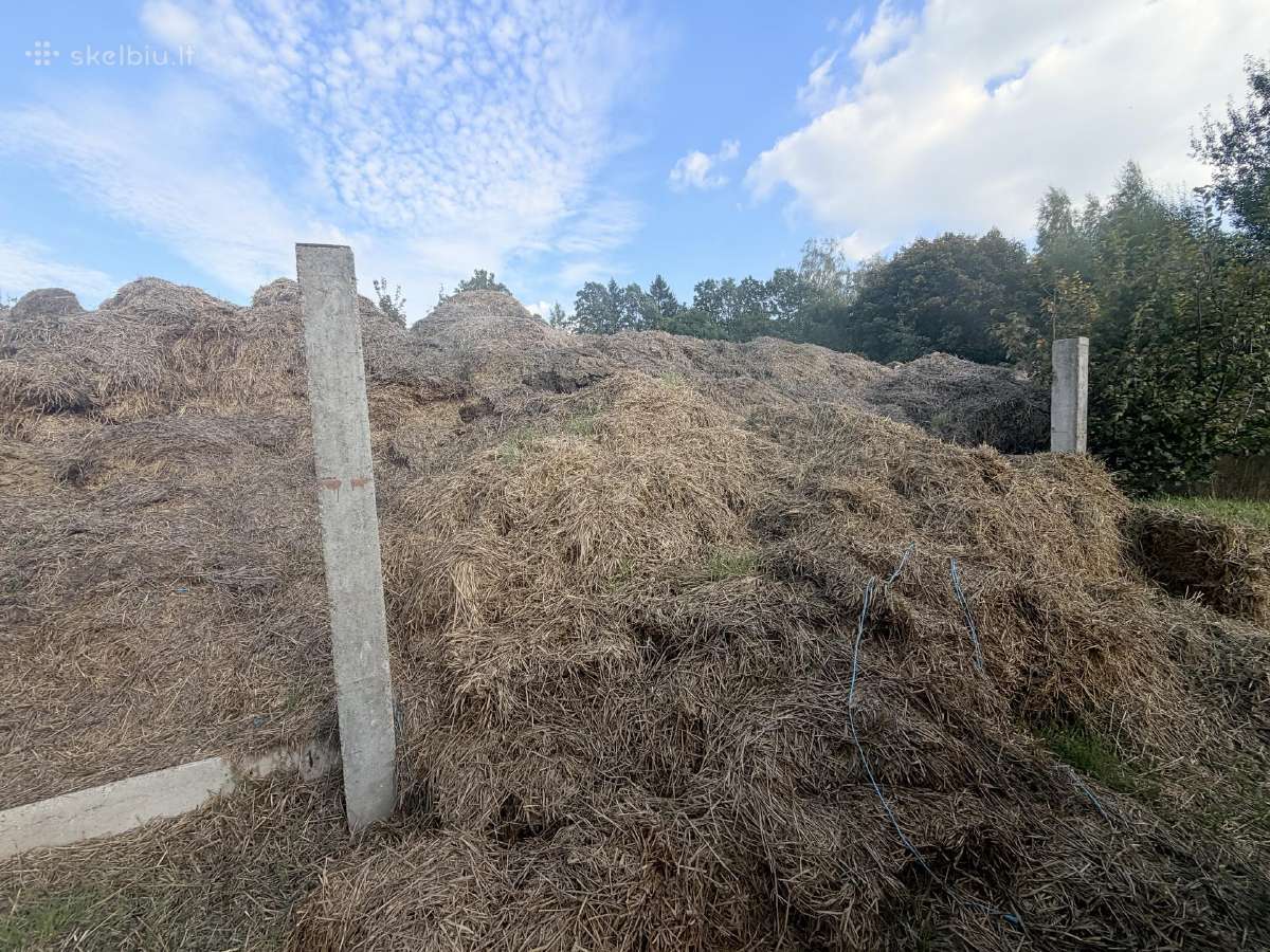 Kviečių šiaudai - nuotraukos Nr. 3