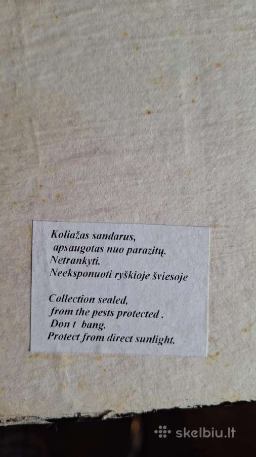 Drugelių kolekcija - nuotraukos Nr. 5