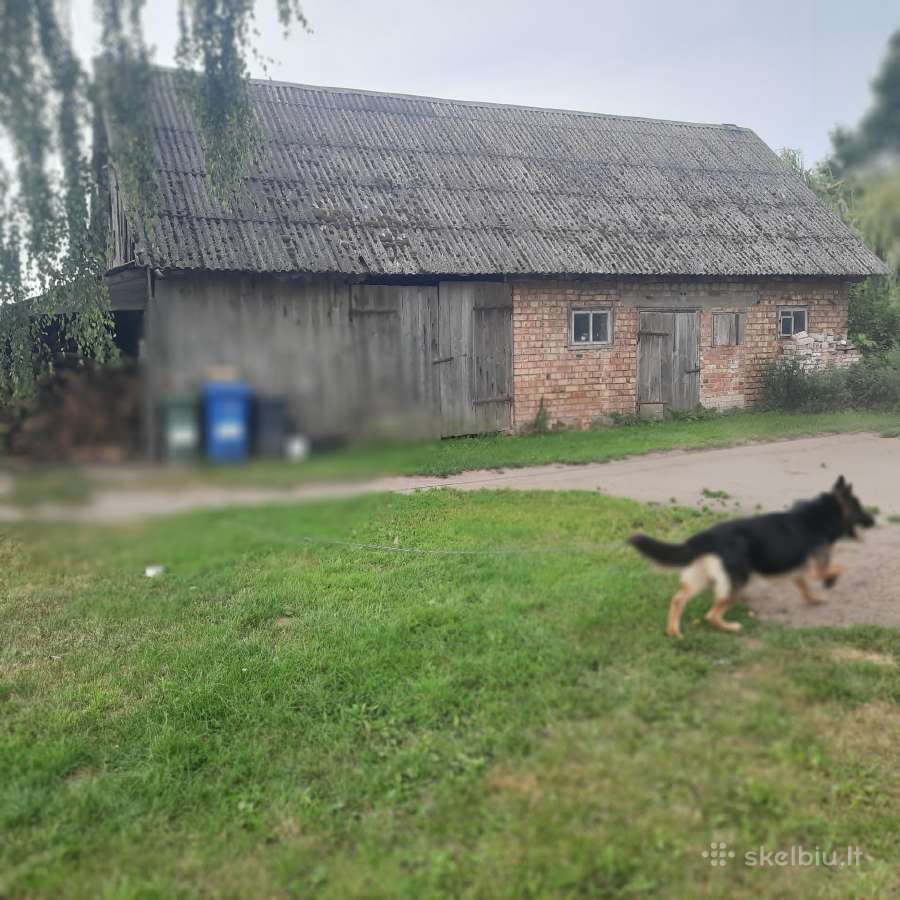 Parduodu - nuotraukos Nr. 3