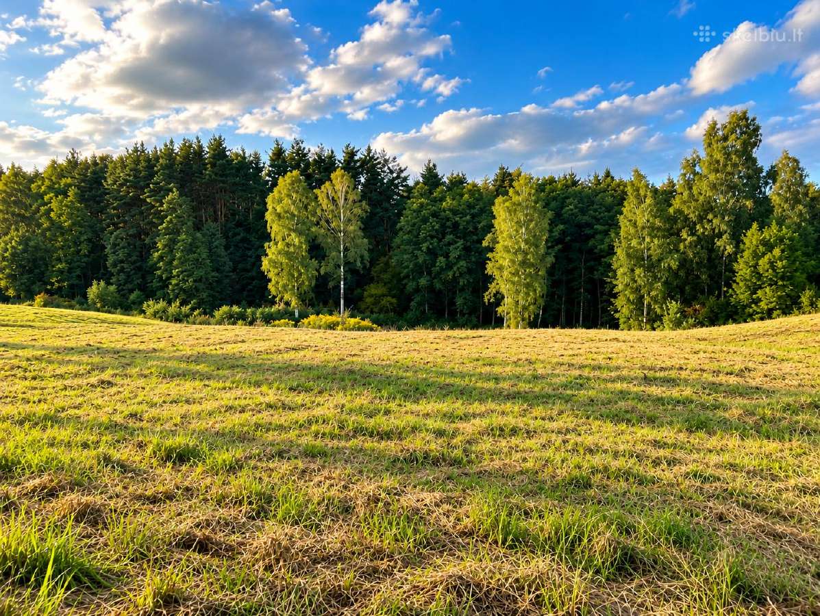 Parduodamas 50 A Sklypas Ūkininko Sodybai - nuotraukos Nr. 2
