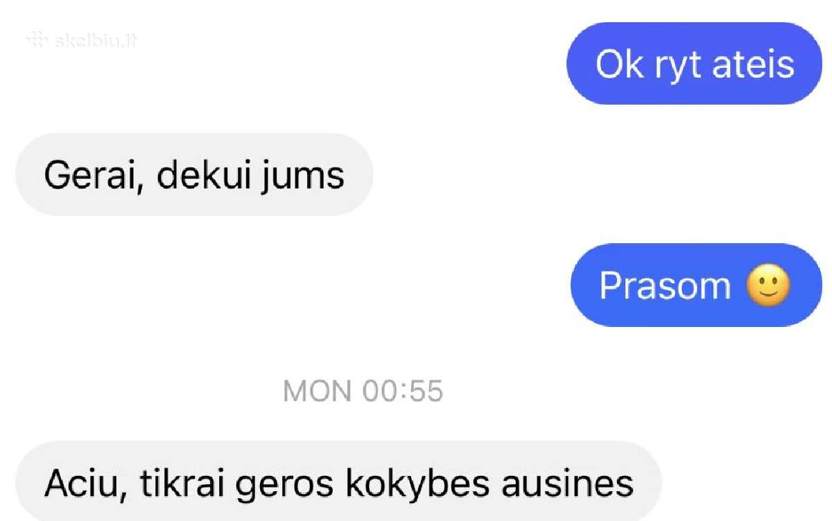 Ausinės Pro3 (2026) garantija, atsiliepimai - nuotraukos Nr. 13