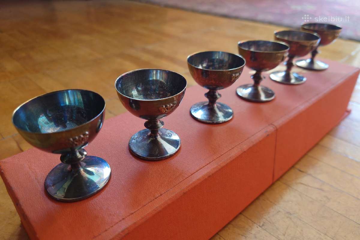 Taurelės melchioras - nuotraukos Nr. 2