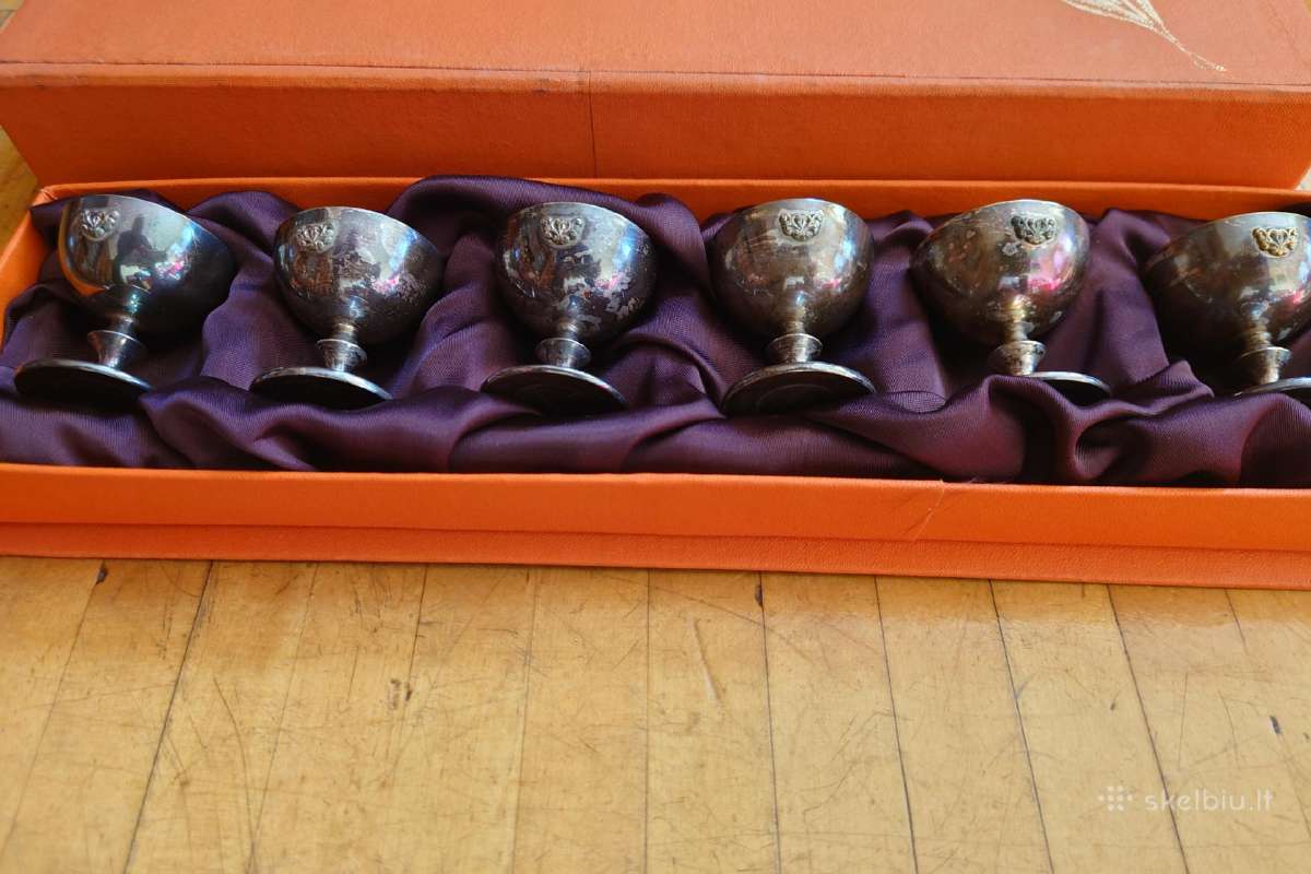 Taurelės melchioras - nuotraukos Nr. 7
