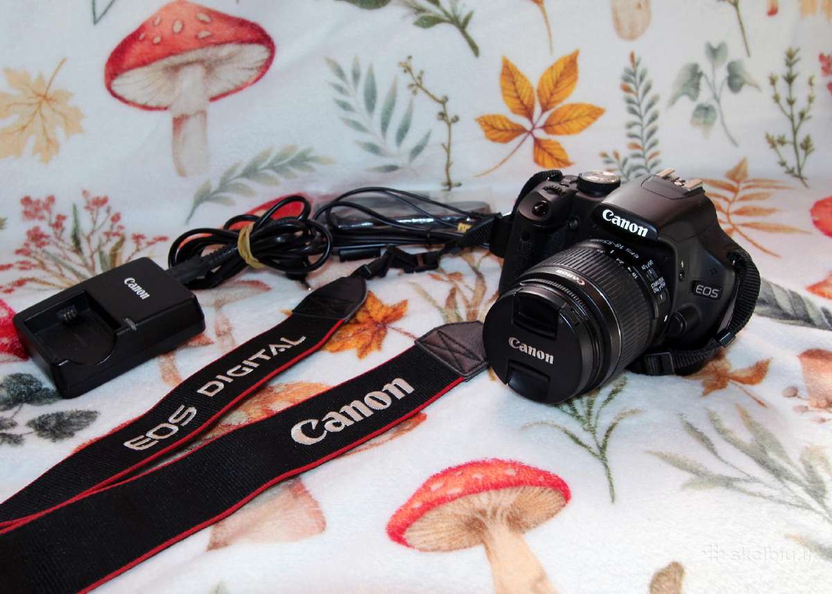 Canon EOS 500d + Ef-s 18–55 mm Is II - nuotraukos Nr. 2