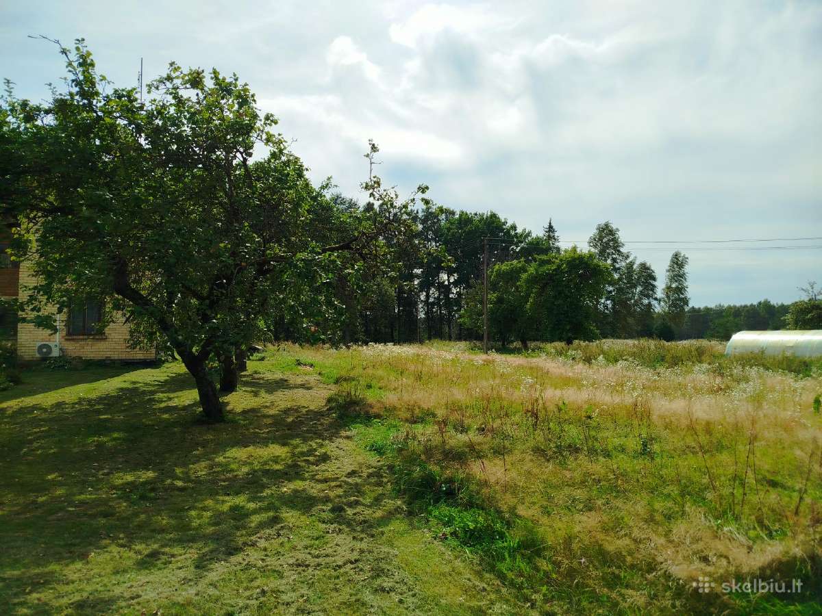 Sodyba su 21 ha žemės ir mišku - nuotraukos Nr. 6