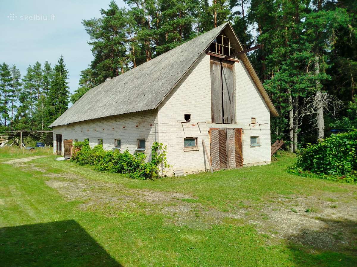 Sodyba su 21 ha žemės ir mišku - nuotraukos Nr. 4