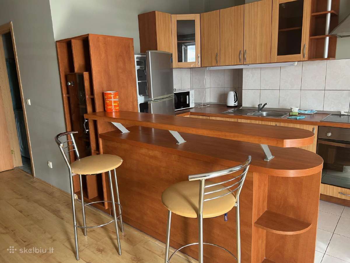 Išnuomojamas jaukus 1 kambario studijos tipo - nuotraukos Nr. 3