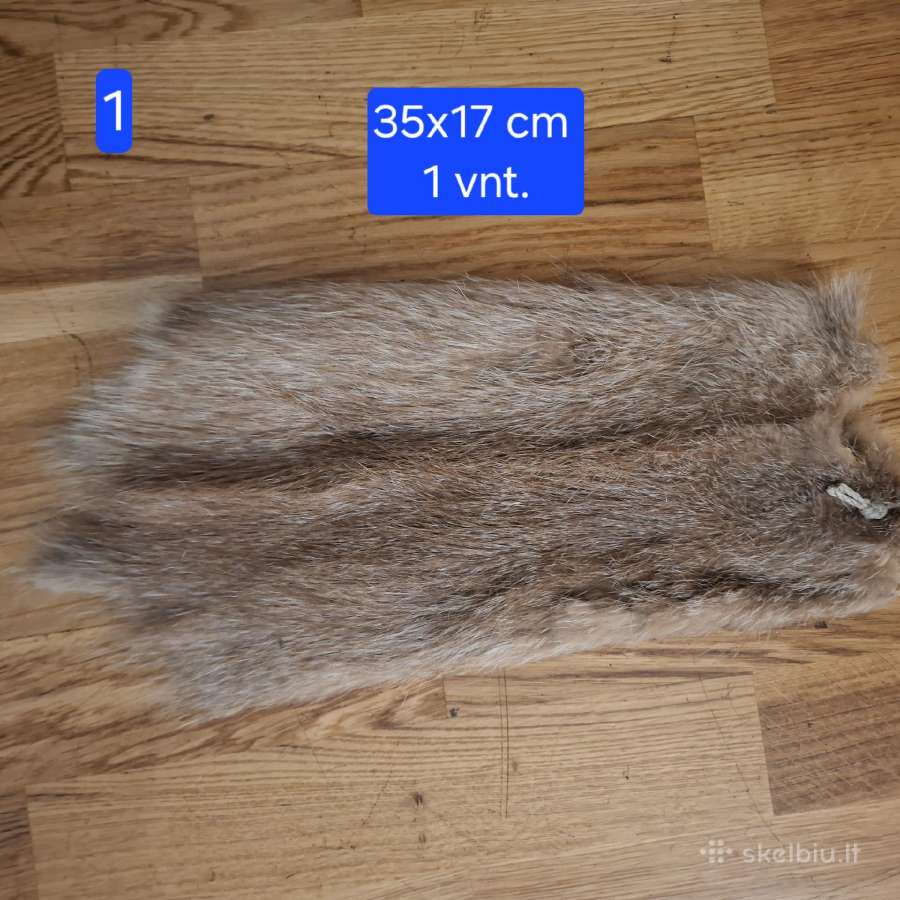 Išdirbti įvairių žvėrelių kailiai - nuotraukos Nr. 2