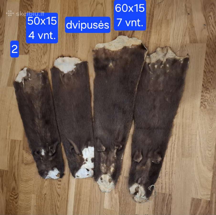 Išdirbti įvairių žvėrelių kailiai - nuotraukos Nr. 4
