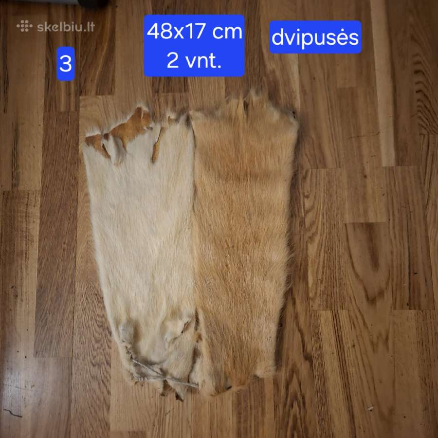 Išdirbti įvairių žvėrelių kailiai - nuotraukos Nr. 5