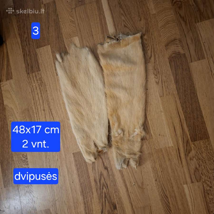 Išdirbti įvairių žvėrelių kailiai - nuotraukos Nr. 6