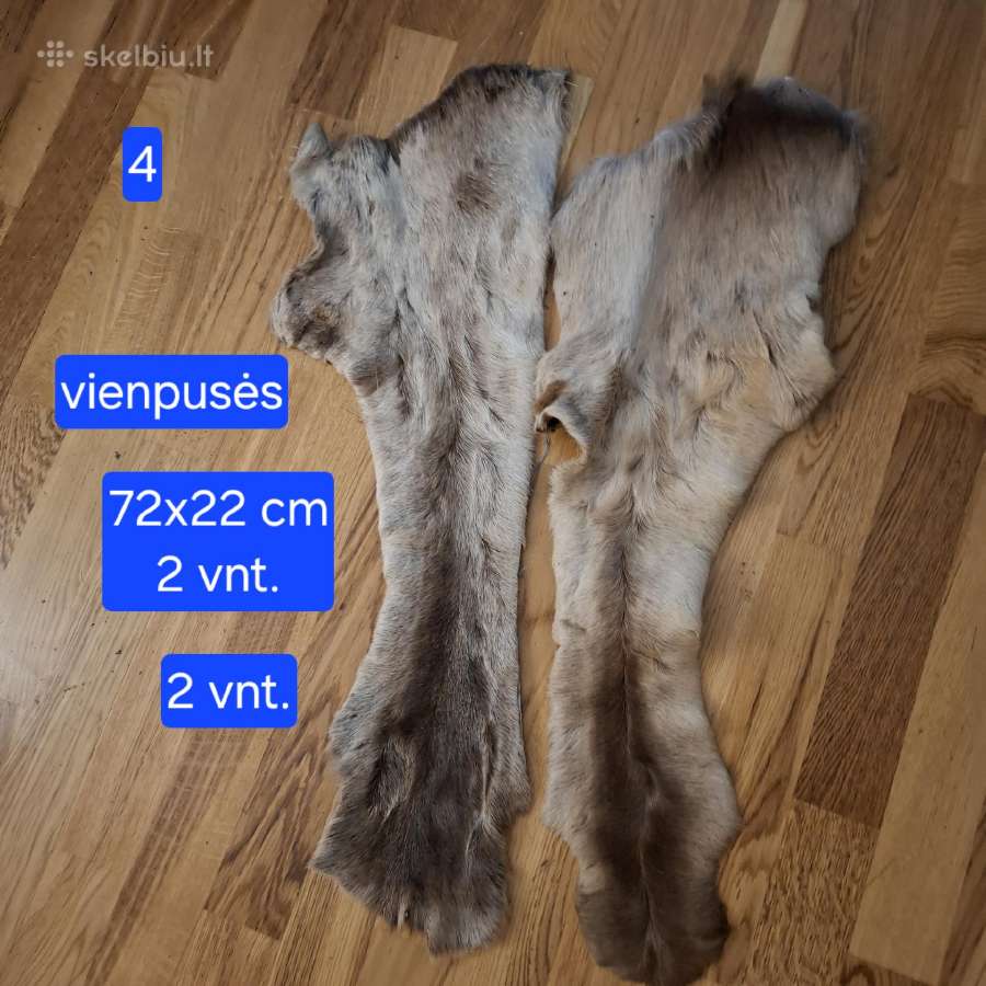 Išdirbti įvairių žvėrelių kailiai - nuotraukos Nr. 7