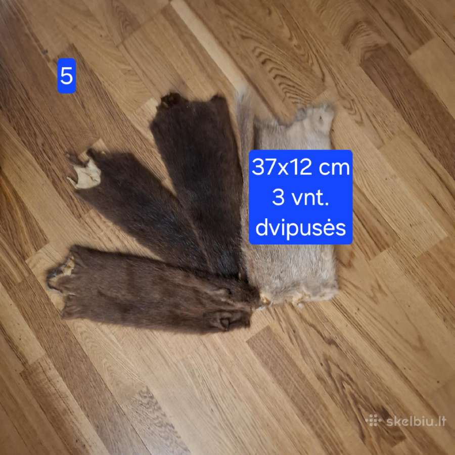 Išdirbti įvairių žvėrelių kailiai - nuotraukos Nr. 8