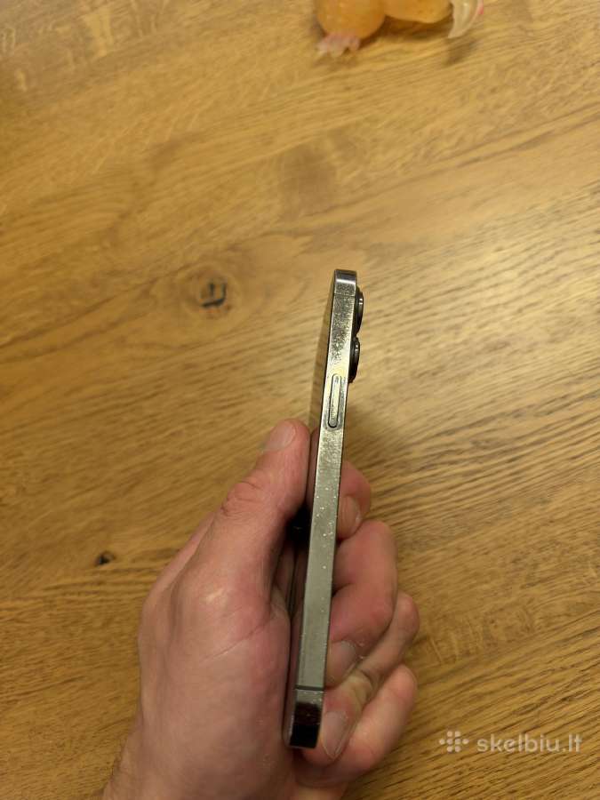 iPhone 13 Pro - nuotraukos Nr. 2