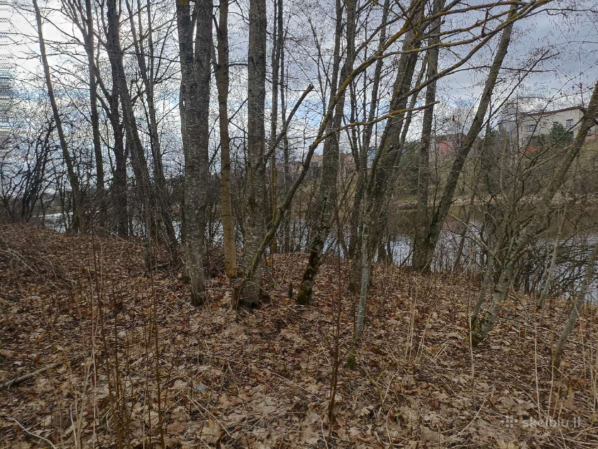 Sklypas prie Ramučių tvenkinio, Kauno raj., - nuotraukos Nr. 6