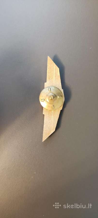 Aviacijos zenkliukas - nuotraukos Nr. 3