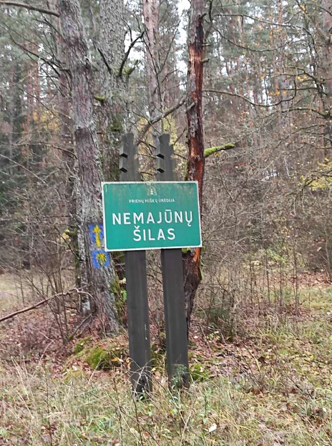 Birštono sav. Nemuno kilpų reg. parkas Šilėnai - nuotraukos Nr. 33