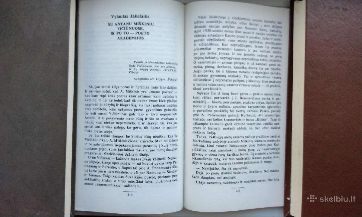 A. Miškinis. Sulaužyti kryžiai. 1989 m. leid. - nuotraukos Nr. 6