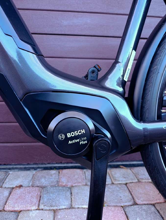 Sparta Bosch Active variklis apynaujis - nuotraukos Nr. 12