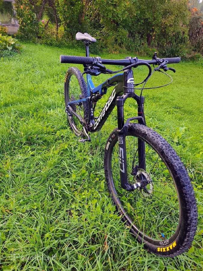 Corratec Revolution ilink SL Pro 29" - nuotraukos Nr. 2