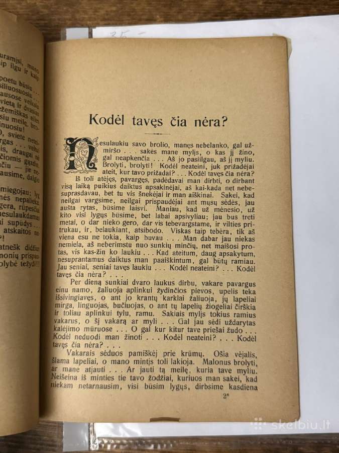 Tėvynės laukuose 1909 m. Antikvarinė knyga - nuotraukos Nr. 5
