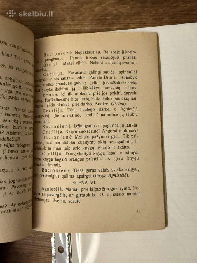 Nepaisytoja 1929 m. - nuotraukos Nr. 5