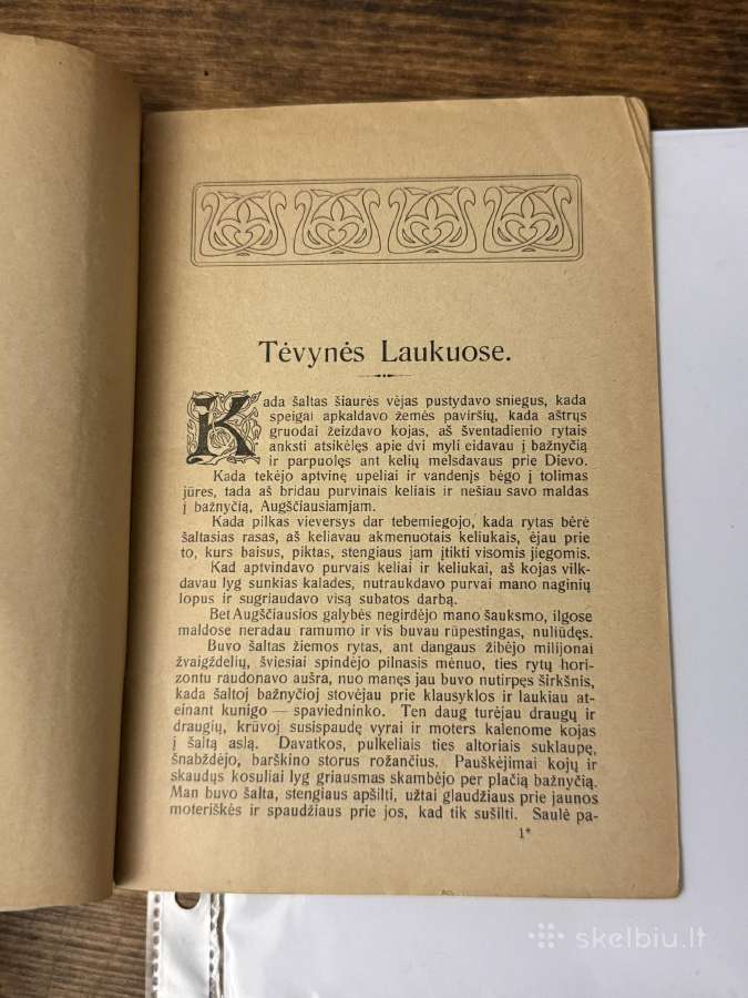 Tėvynės laukuose 1909 m. - nuotraukos Nr. 3
