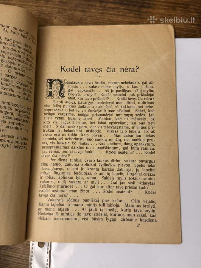 Tėvynės laukuose 1909 m. - nuotraukos Nr. 4