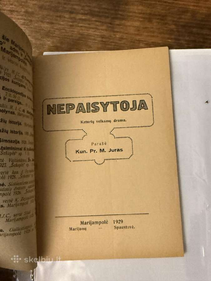 Nepaisytoja 1929 m. - nuotraukos Nr. 2