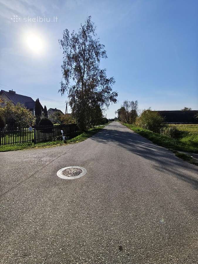 25 a namų valdos sklypas Naujamiestis, Panevėžio r - nuotraukos Nr. 6