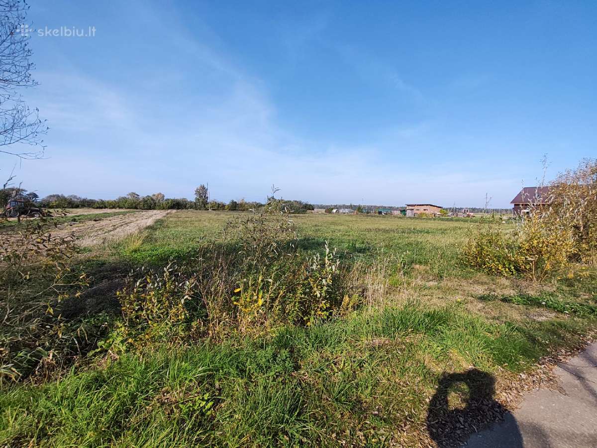 25 a namų valdos sklypas Naujamiestis, Panevėžio r - nuotraukos Nr. 3