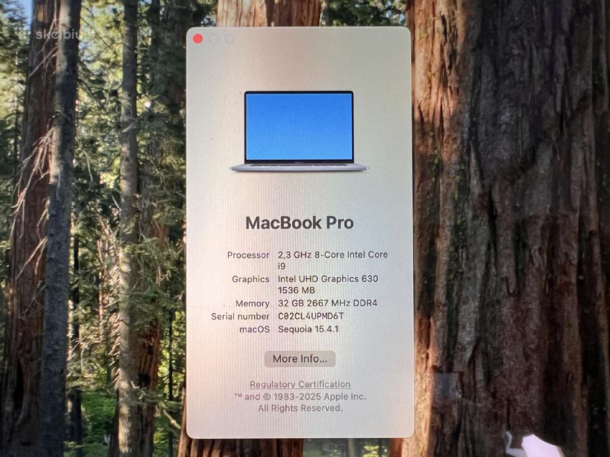 Apple MacBook Pro 16" 2019, i9 2.3 GHz 32 GB, 1t - nuotraukos Nr. 9