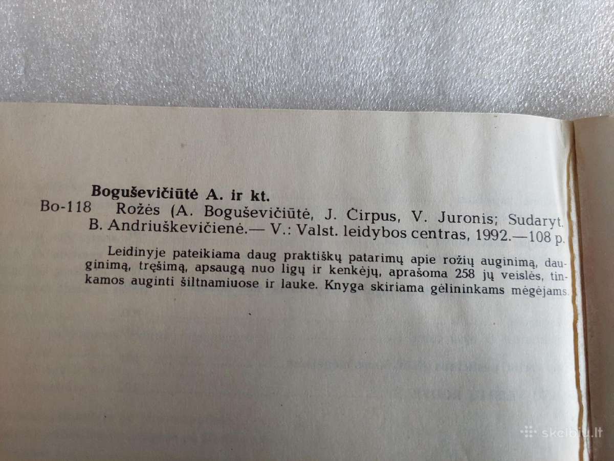 Rožės - nuotraukos Nr. 8