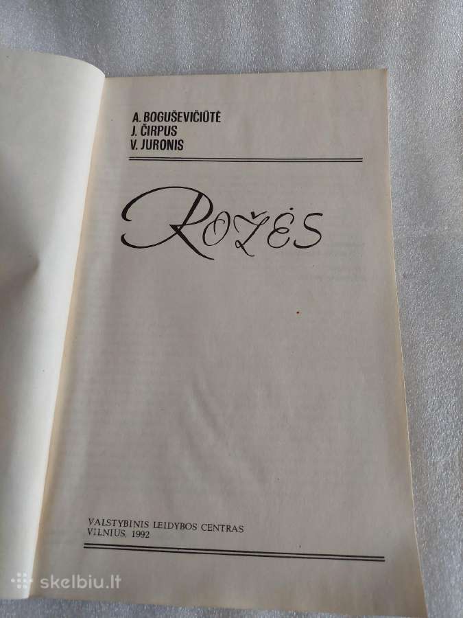 Rožės - nuotraukos Nr. 2